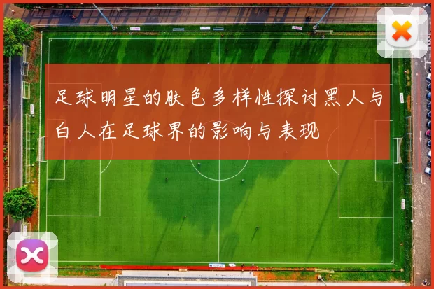 足球明星的肤色多样性探讨黑人与白人在足球界的影响与表现