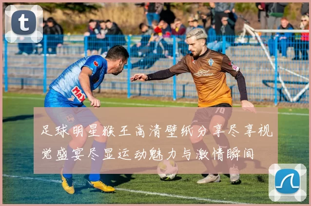足球明星猴王高清壁纸分享尽享视觉盛宴尽显运动魅力与激情瞬间