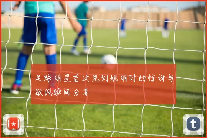足球明星首次见到姚明时的惊讶与敬佩瞬间分享