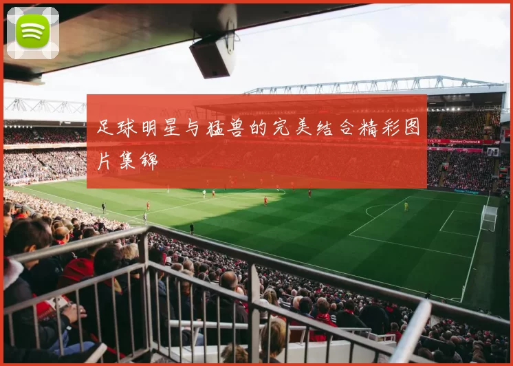 足球明星与猛兽的完美结合精彩图片集锦