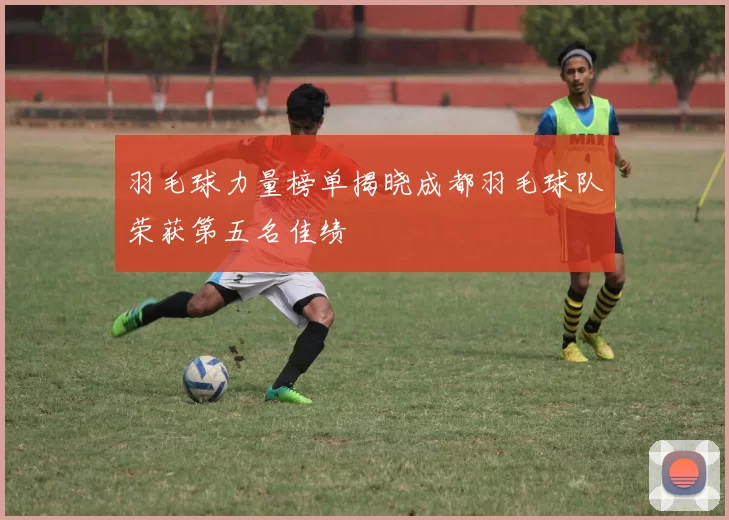 羽毛球力量榜单揭晓成都羽毛球队荣获第五名佳绩