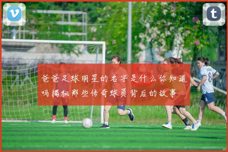 爸爸足球明星的名字是什么你知道吗揭秘那些传奇球员背后的故事