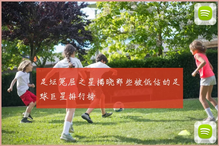 足坛冤屈之星揭晓那些被低估的足球巨星排行榜