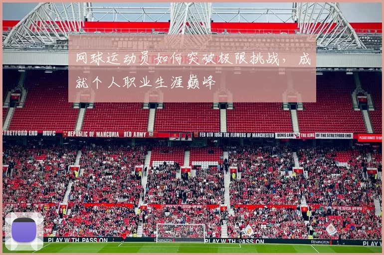 网球运动员如何突破极限挑战，成就个人职业生涯巅峰