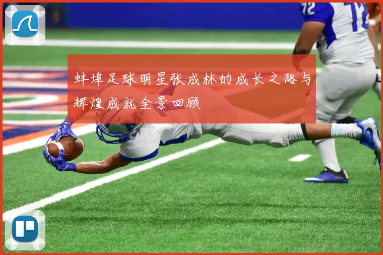 蚌埠足球明星张成林的成长之路与辉煌成就全景回顾