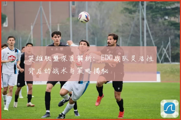 英雄联盟深度解析：EDG战队灵活性背后的战术与策略揭秘