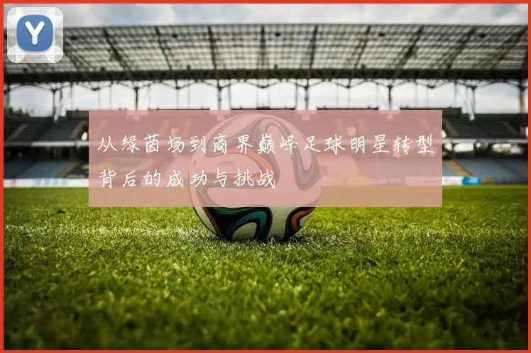 从绿茵场到商界巅峰足球明星转型背后的成功与挑战
