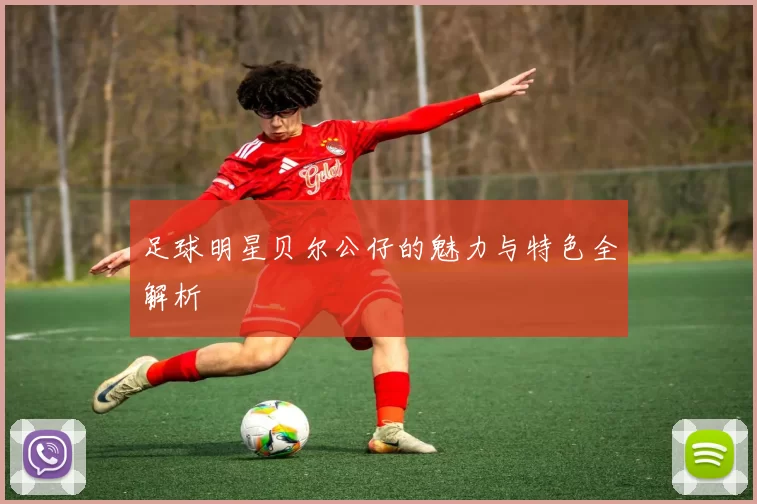 足球明星贝尔公仔的魅力与特色全解析