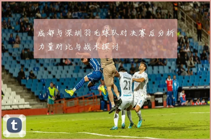 成都与深圳羽毛球队对决赛后分析力量对比与战术探讨