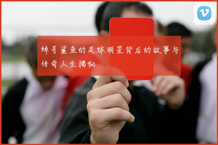 绰号鲨鱼的足球明星背后的故事与传奇人生揭秘
