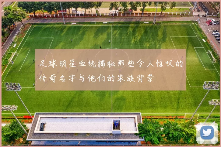 足球明星血统揭秘那些令人惊叹的传奇名字与他们的家族背景