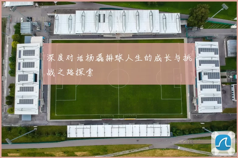深度对话杨磊排球人生的成长与挑战之路探索