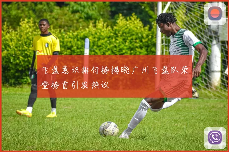 飞盘意识排行榜揭晓广州飞盘队荣登榜首引发热议