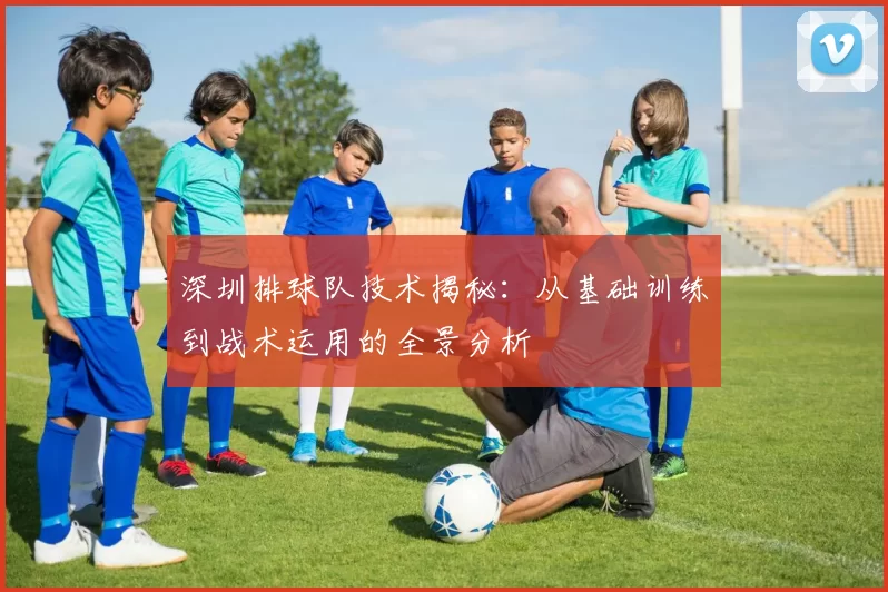 深圳排球队技术揭秘：从基础训练到战术运用的全景分析