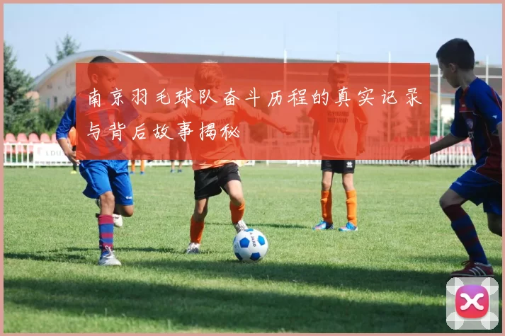 南京羽毛球队奋斗历程的真实记录与背后故事揭秘
