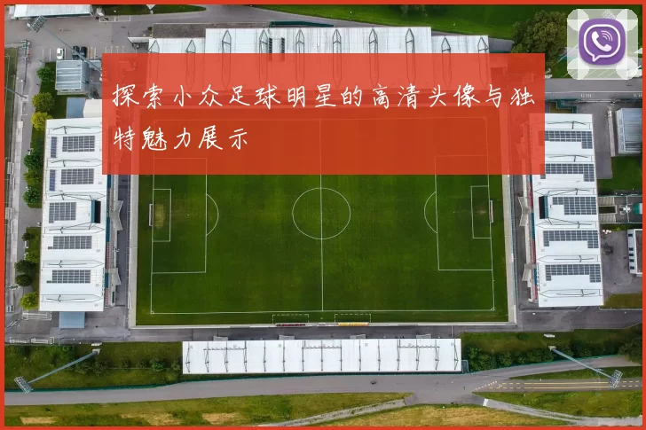 探索小众足球明星的高清头像与独特魅力展示