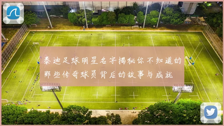泰迪足球明星名字揭秘你不知道的那些传奇球员背后的故事与成就