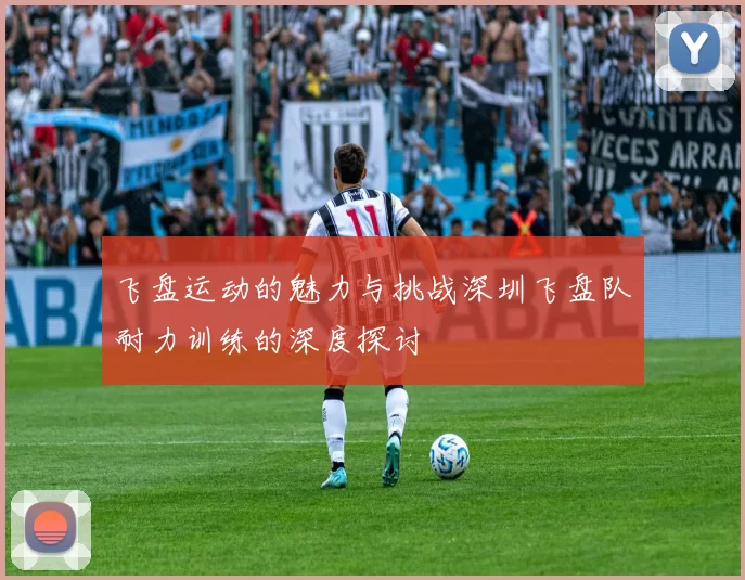 飞盘运动的魅力与挑战深圳飞盘队耐力训练的深度探讨
