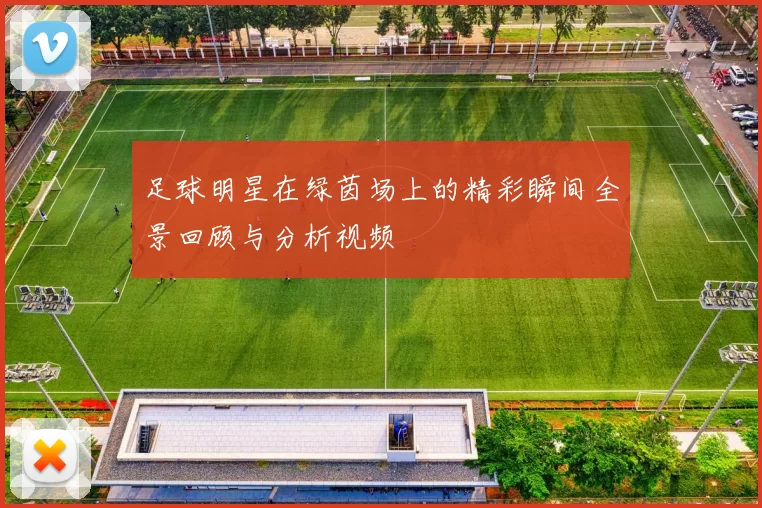足球明星在绿茵场上的精彩瞬间全景回顾与分析视频